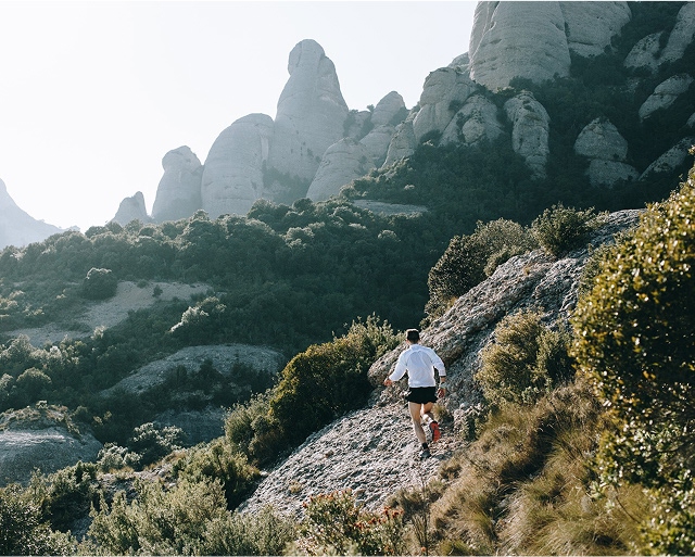 imagenIMP 2025 04 29T144122.611